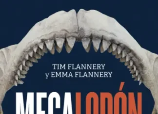 Megalodón Megalodón