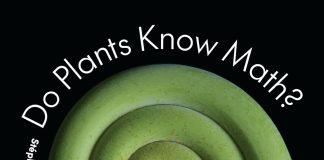 Do Plants Know Math? Do plants know math?