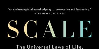 Scale Scale