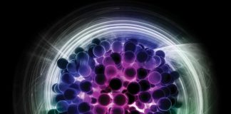 Ghost Particle: In Search of the Elusive and Mysterious Neutrino Ghost particle