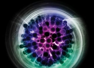 Ghost Particle: In Search of the Elusive and Mysterious Neutrino Ghost particle