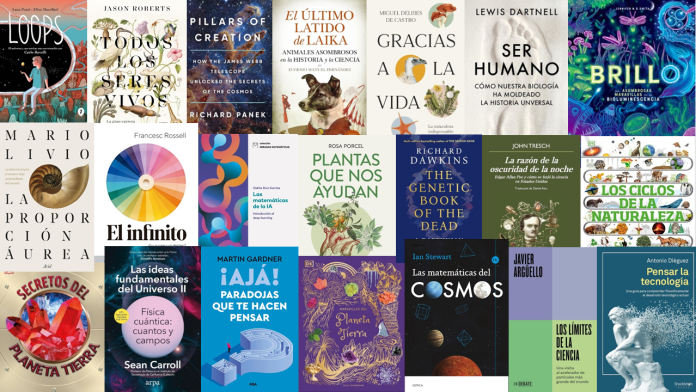 Novedades octubre 2024