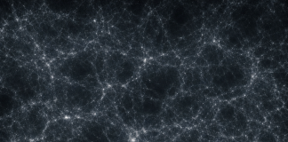 El Principio Cosmológico Red cósmica