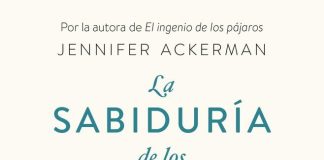 La sabiduría de los búhos La sabiduría de los búhos