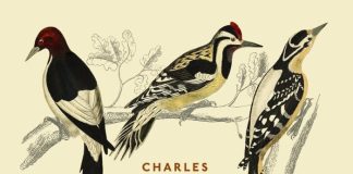 El origen de las especies El origen de las especies