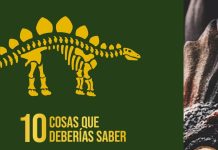 10 cosas que deberías saber sobre los dinosaurios 10 cosas que deberías saber sobre dinosaurios