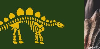 10 cosas que deberías saber sobre los dinosaurios 10 cosas que deberías saber sobre dinosaurios