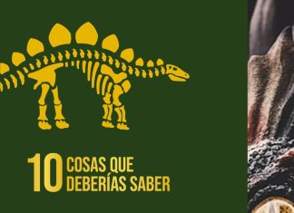 10 cosas que deberías saber sobre los dinosaurios 10 cosas que deberías saber sobre dinosaurios