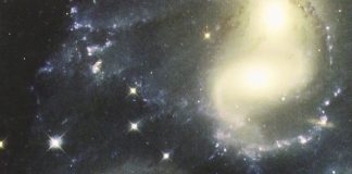 El jardín de las galaxias El jardín de las galaxias