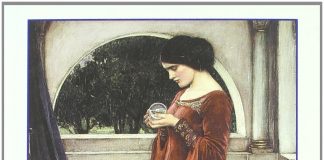 Explorando el mundo Explorando el mundo