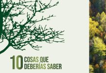 Árboles Árboles