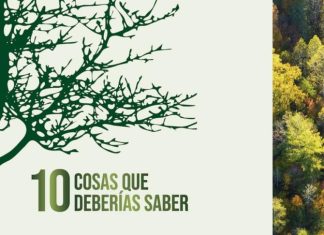 Árboles Árboles