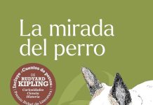 La mirada del perro La mirada del perro