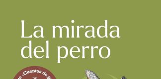 La mirada del perro La mirada del perro