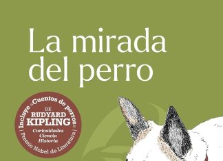 La mirada del perro La mirada del perro