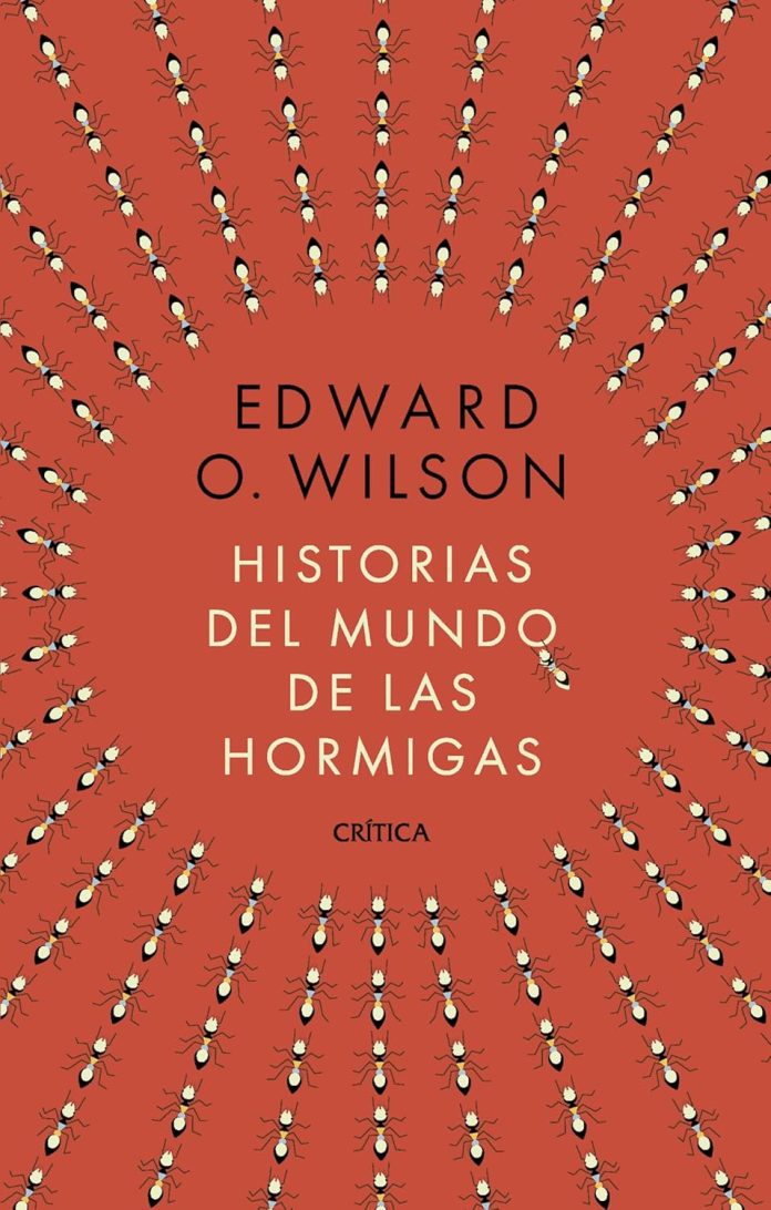 Historia del mundo de las hormigas