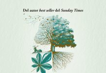 Cómo leer un árbol Ático de los Libros