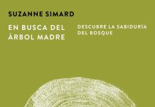 En busca del Árbol Madre En busca del árbol madre