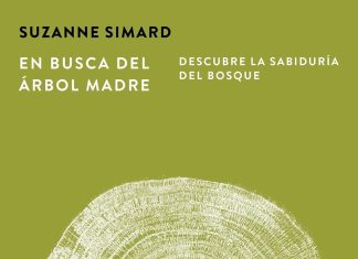 En busca del Árbol Madre En busca del árbol madre