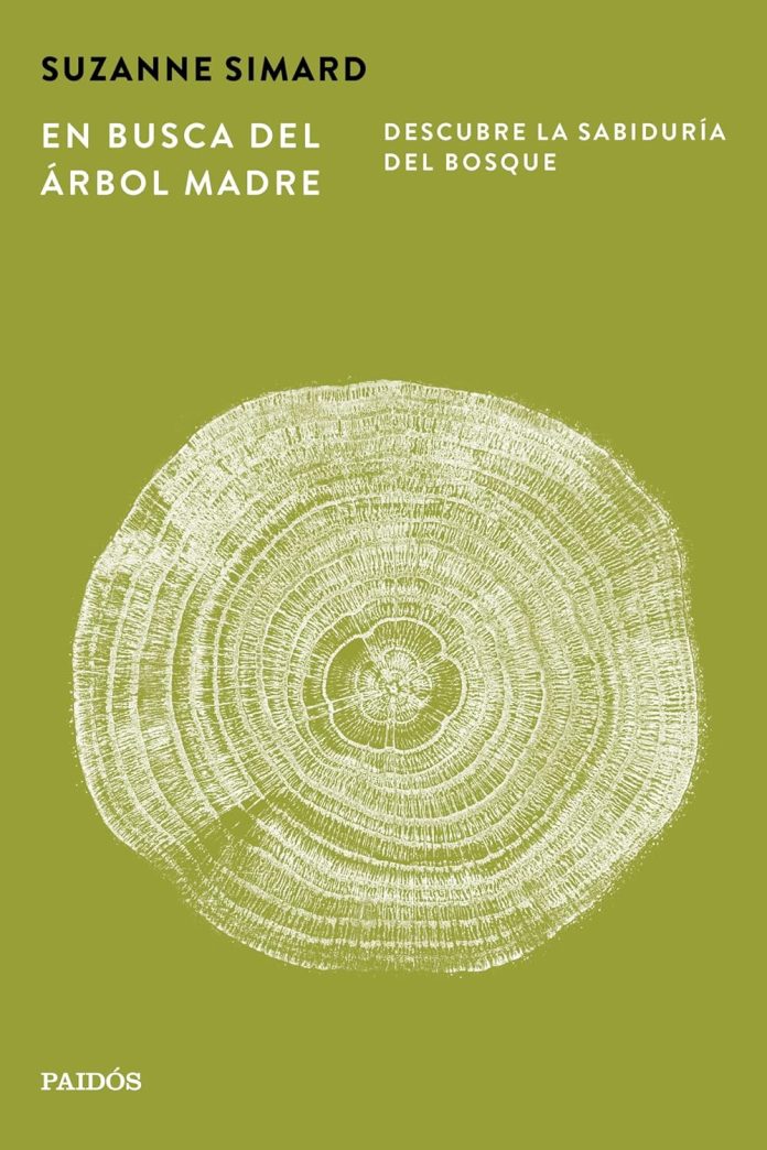 En busca del árbol madre En busca del árbol madre