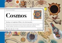 Cosmos Cosmos