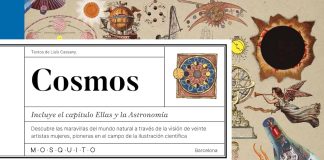 Cosmos Cosmos