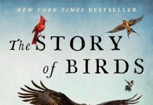 The Story of Birds The story of birds