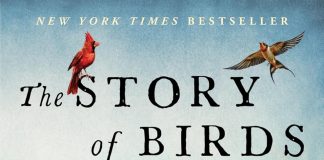 The Story of Birds The story of birds