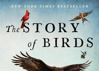 The Story of Birds The story of birds