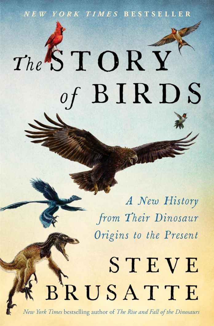 The story of birds The story of birds