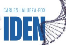 Identidad Identidad