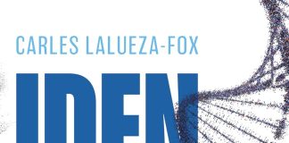Identidad Identidad