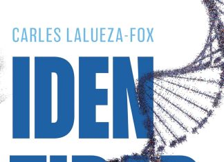 Identidad Identidad