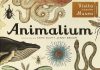 Animalium Animalium