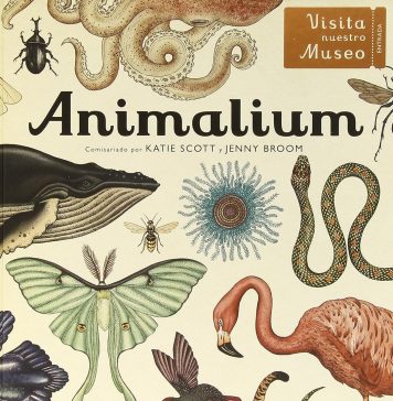 Animalium Animalium