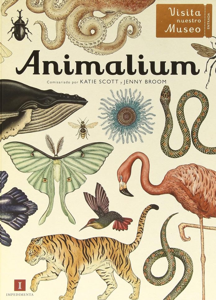 Animalium Animalium