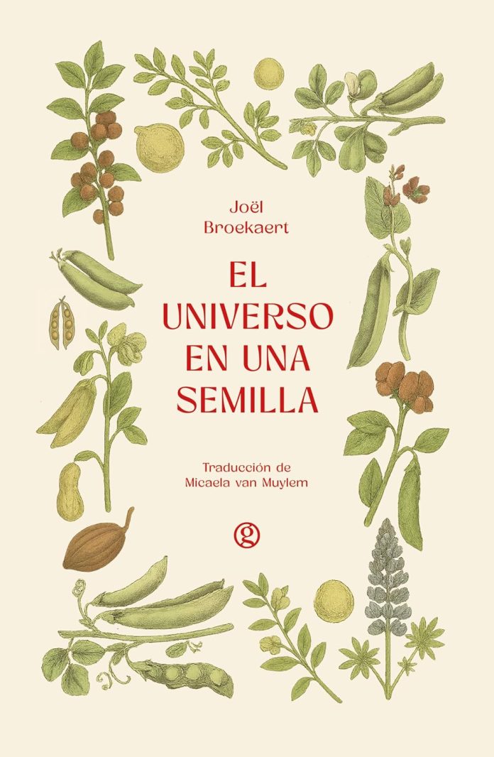 El universo en una semilla