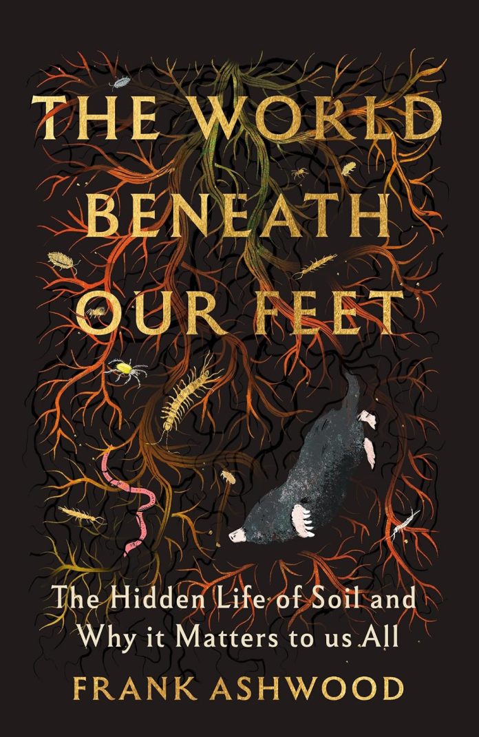 The world beneath our feet The world beneath our feet