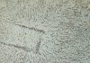Campo y materia Campo y Materia
