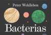 Bacterias Bacterias