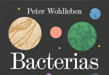 Bacterias Bacterias