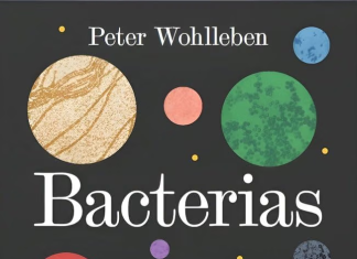 Bacterias Bacterias