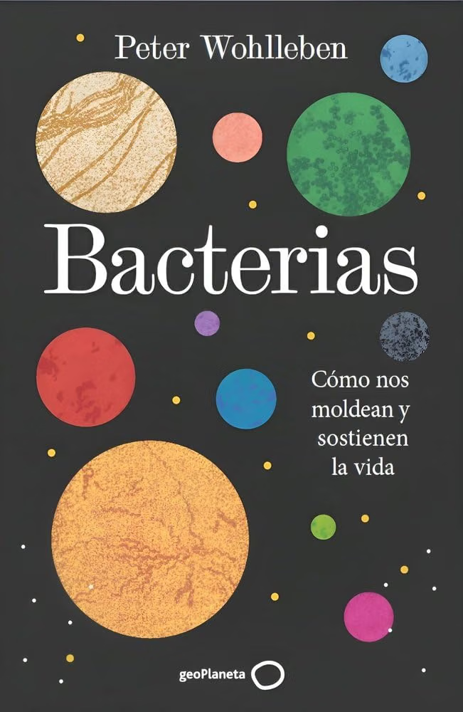 Bacterias Bacterias