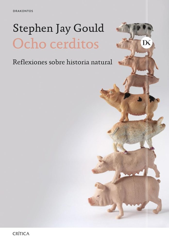 Ocho cerditos Ocho cerditos