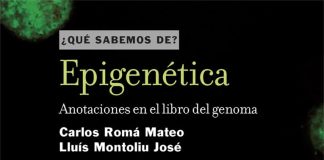 Epigenética Epigenética
