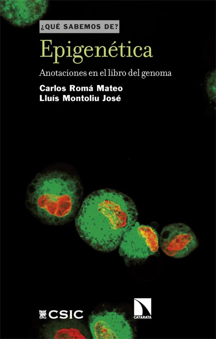 Epigenética Epigenética